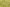 Fennel Seed